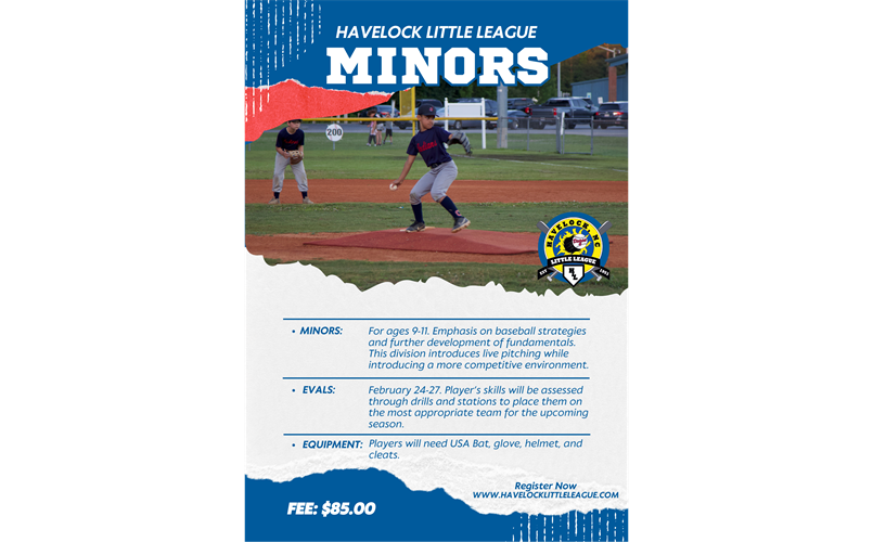 Minors Division